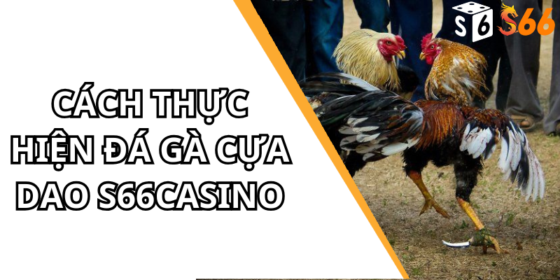 Cách Thực Hiện Đá Gà Cựa Dao S66casino