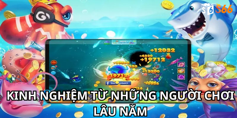 Kinh nghiệm từ những người chơi lâu năm