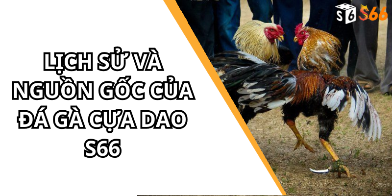 Lịch Sử Và Nguồn Gốc Của Đá Gà Cựa Dao s66